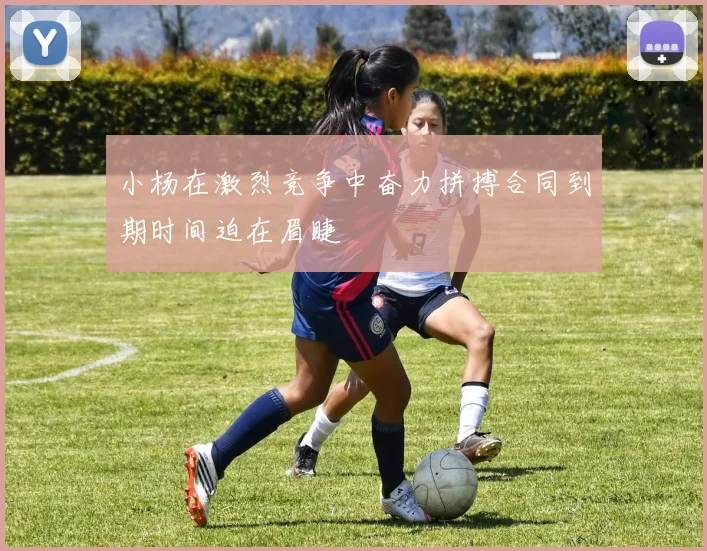 小杨在激烈竞争中奋力拼搏合同到期时间迫在眉睫